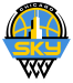 Chicago Sky Contracts